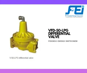Valve (Katup) VFD-50-LPG Differential Valve  1 differential_valve_flow_meter