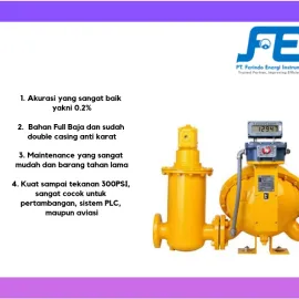 Positive Displacement Flow Meter Flow Meter LC MSSeries