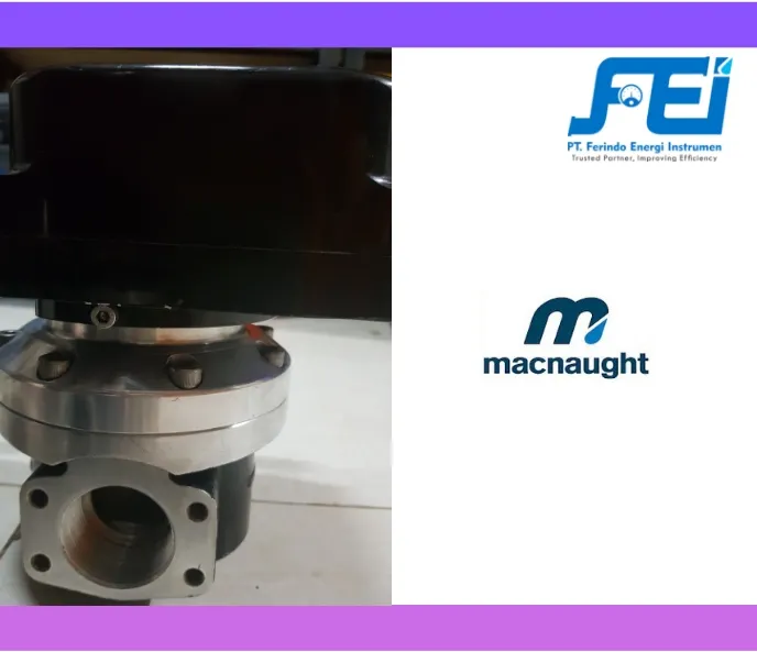 Flow Meter Solar (DN3-DN100) Flow Meter Macnaught M-Series 11 flow_meter_macnaught_1_inchi