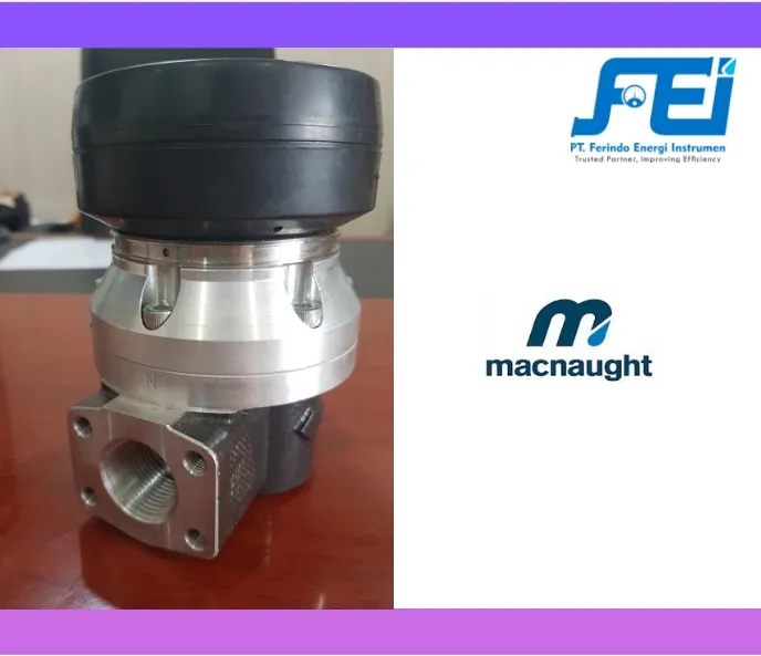 Flow Meter Solar (DN3-DN100) Flow Meter Macnaught M-Series 12 flow_meter_macnaught_murah