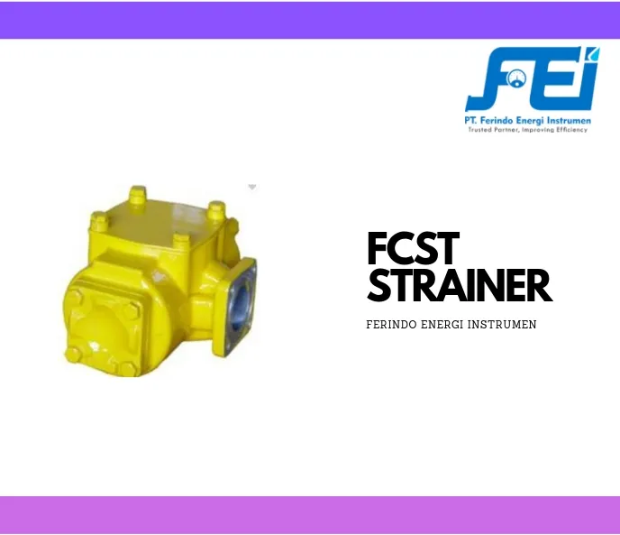 Strainer (Saringan) FCST Series Strainer  1 saringan_flow_meter